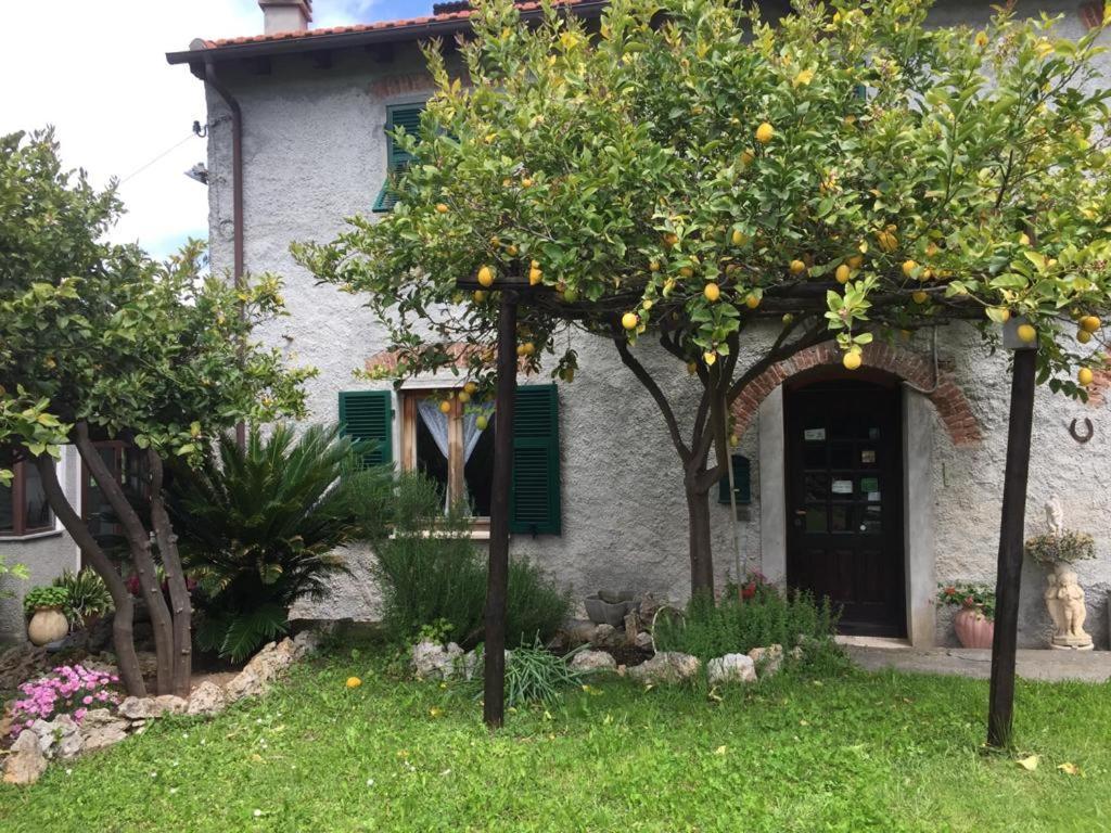 Agriturismo I Lamoi フィナーレ・リーグレ エクステリア 写真